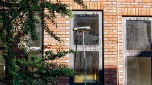 window cleaning specialists